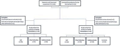 Differential Serum and Urine CRP, IP-10, and TRAIL Levels in Pediatric Urinary Tract Infection